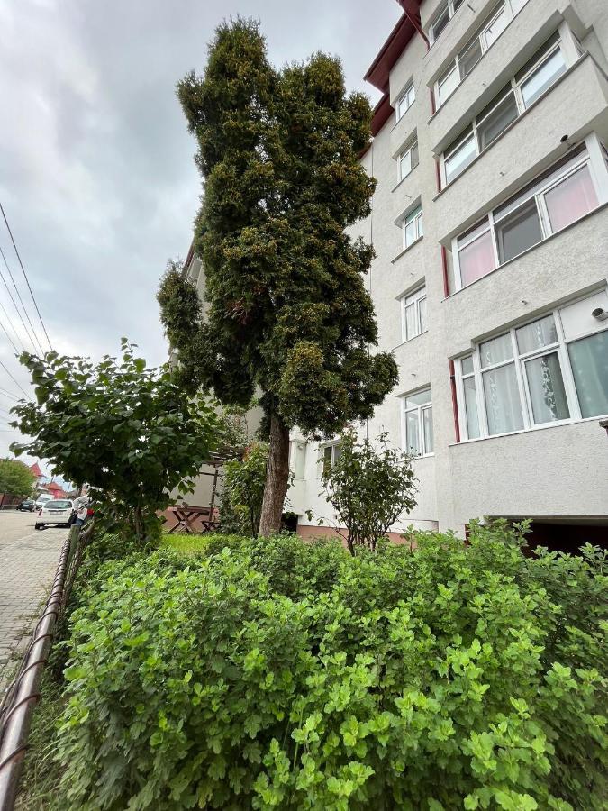Lala'S Sweet Nest Apartamento Călimăneşti Exterior foto