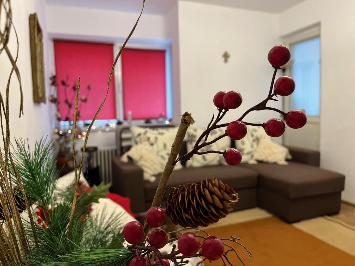 Lala'S Sweet Nest Apartamento Călimăneşti Exterior foto