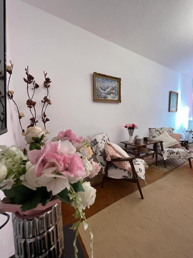 Lala'S Sweet Nest Apartamento Călimăneşti Exterior foto